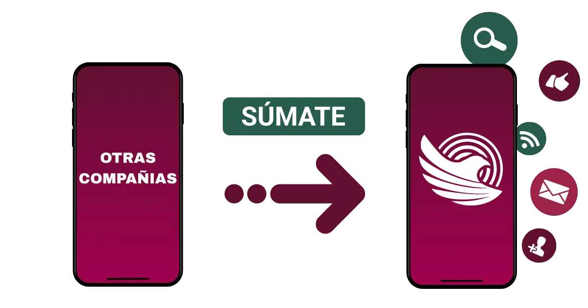 CFE internet portabilidad